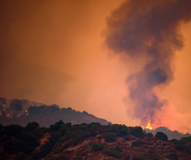 LAWildfire_377258931